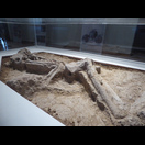 Die ca. 7.000 Jahre alte Leiche einer Frau, die in Teheran gefunden wurde